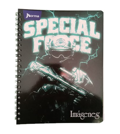 CUADERNO NORMA 105 ARGOLLADO GRANDE