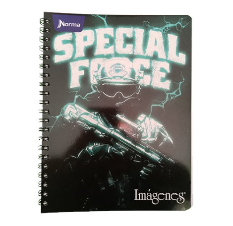 CUADERNO NORMA 105 ARGOLLADO GRANDE